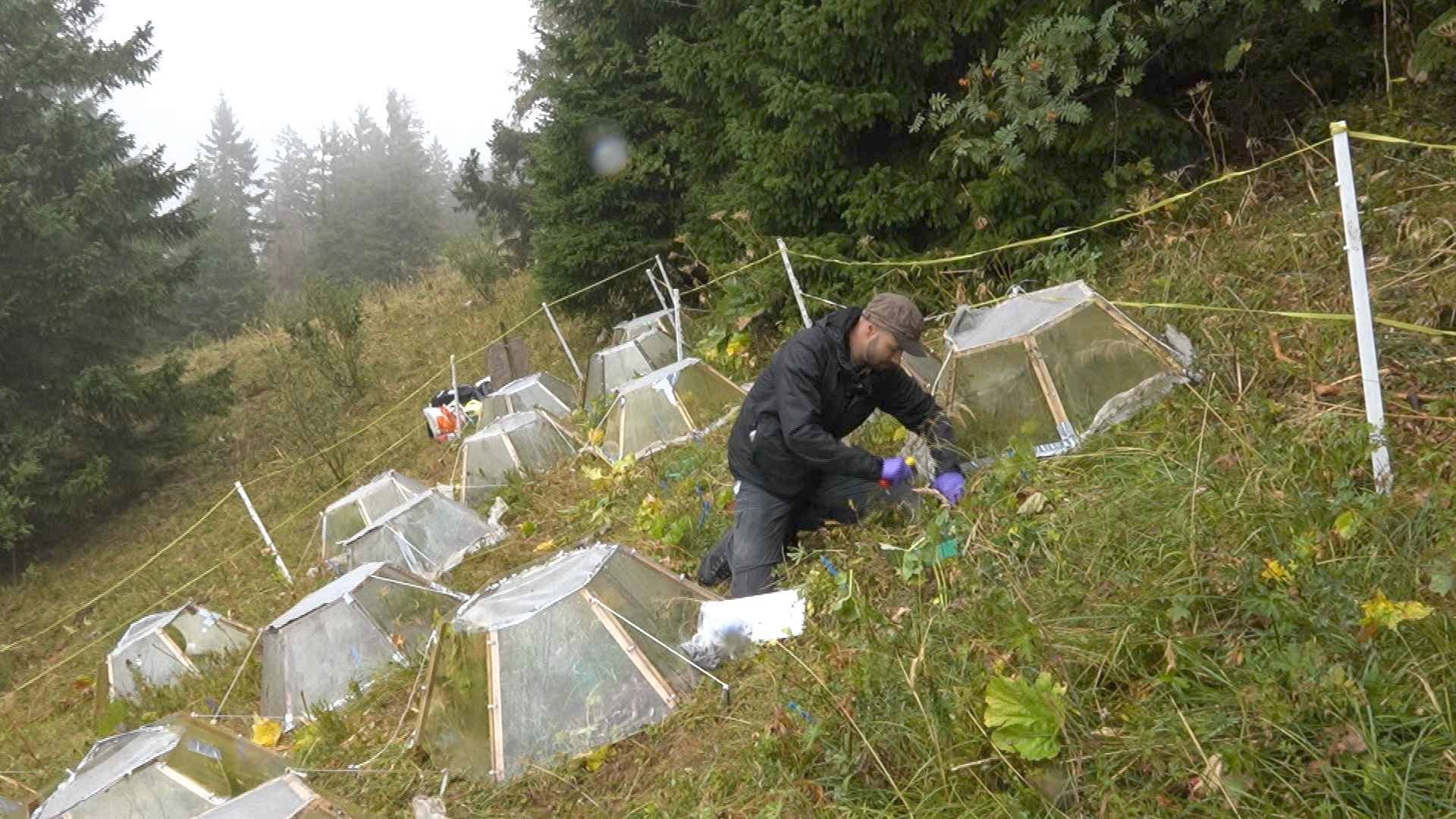 Réchauffer la montagne pour mieux comprendre