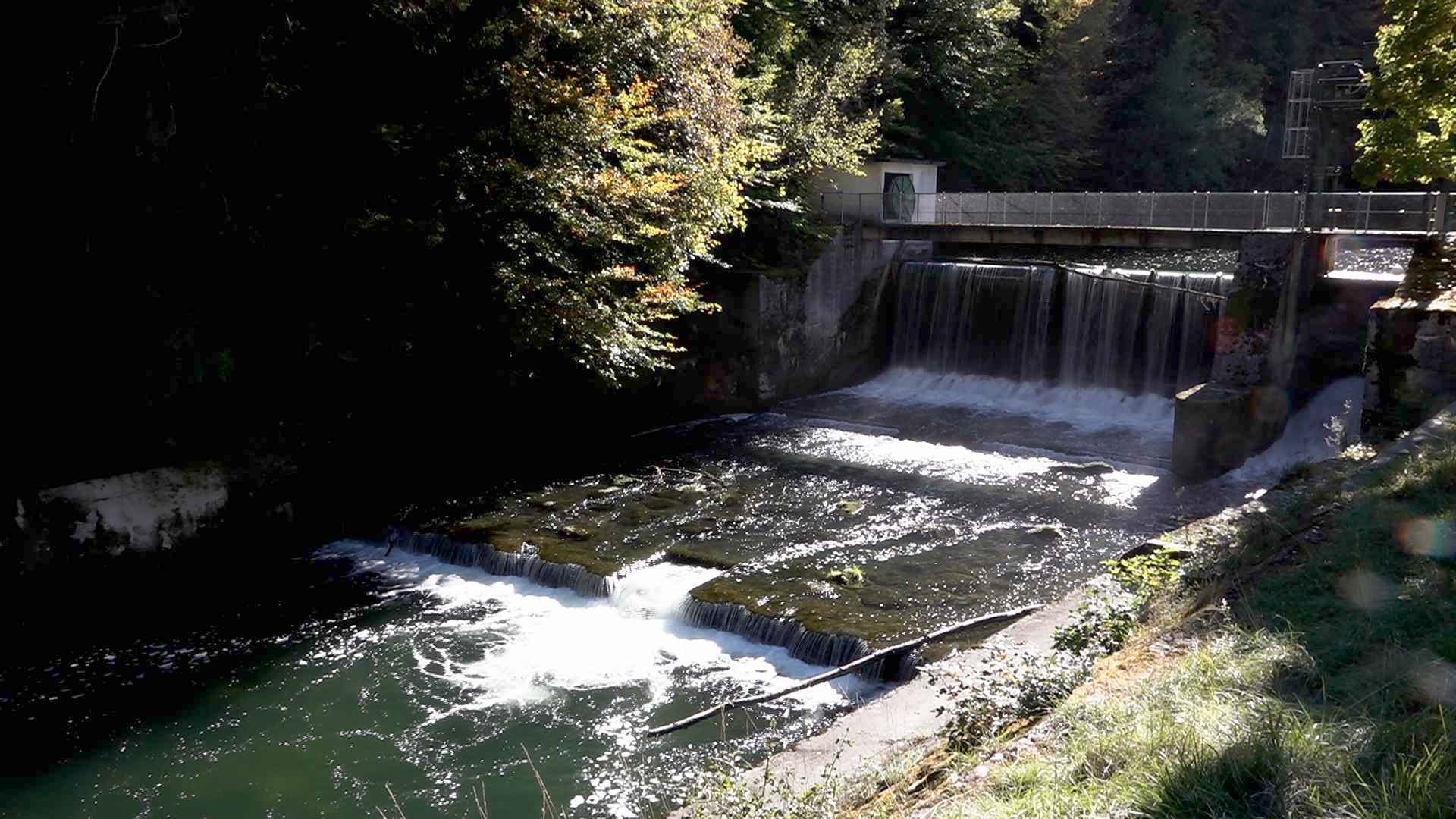 Rivières de l’Arc jurassien : quel bilan après un été difficile?